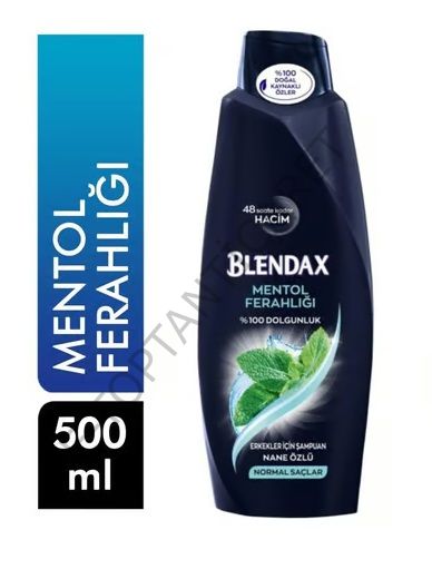 Blendax Men Mentol 500ml 6 Adet